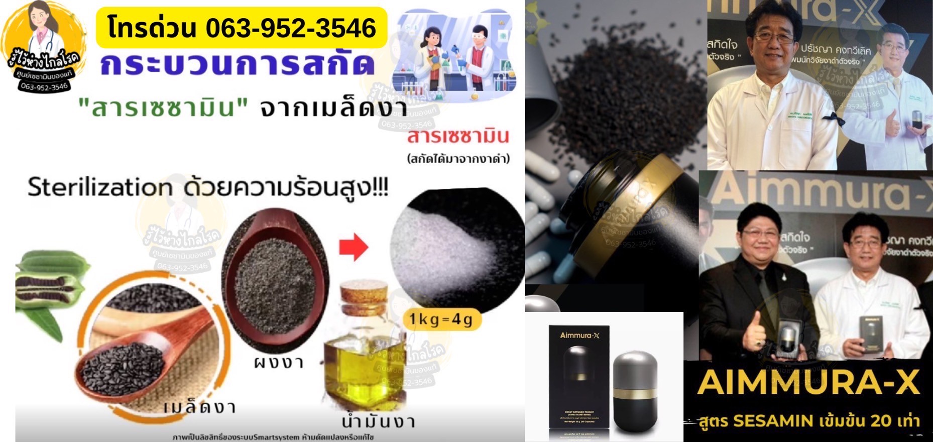 เซซามิน 2