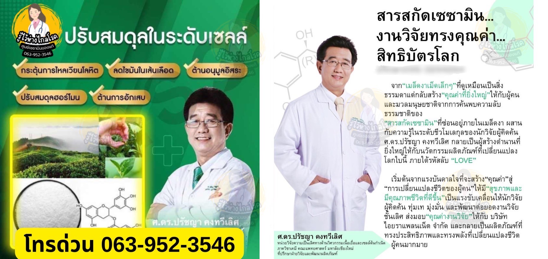 เซซามิน 4