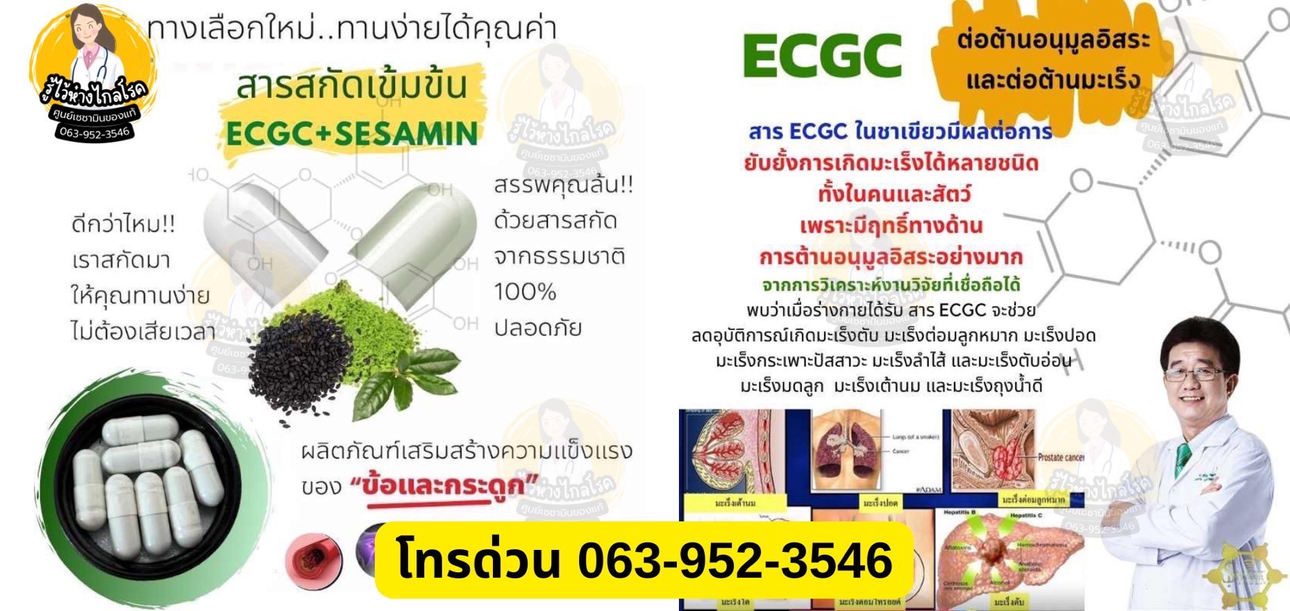 เซซามิน 8